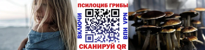 Псилоцибиновые грибы Magic Shrooms  Судогда 