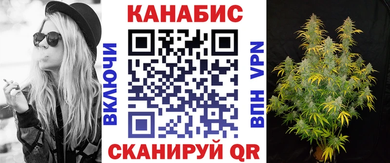 купить закладку  Судогда  Бошки Шишки White Widow 